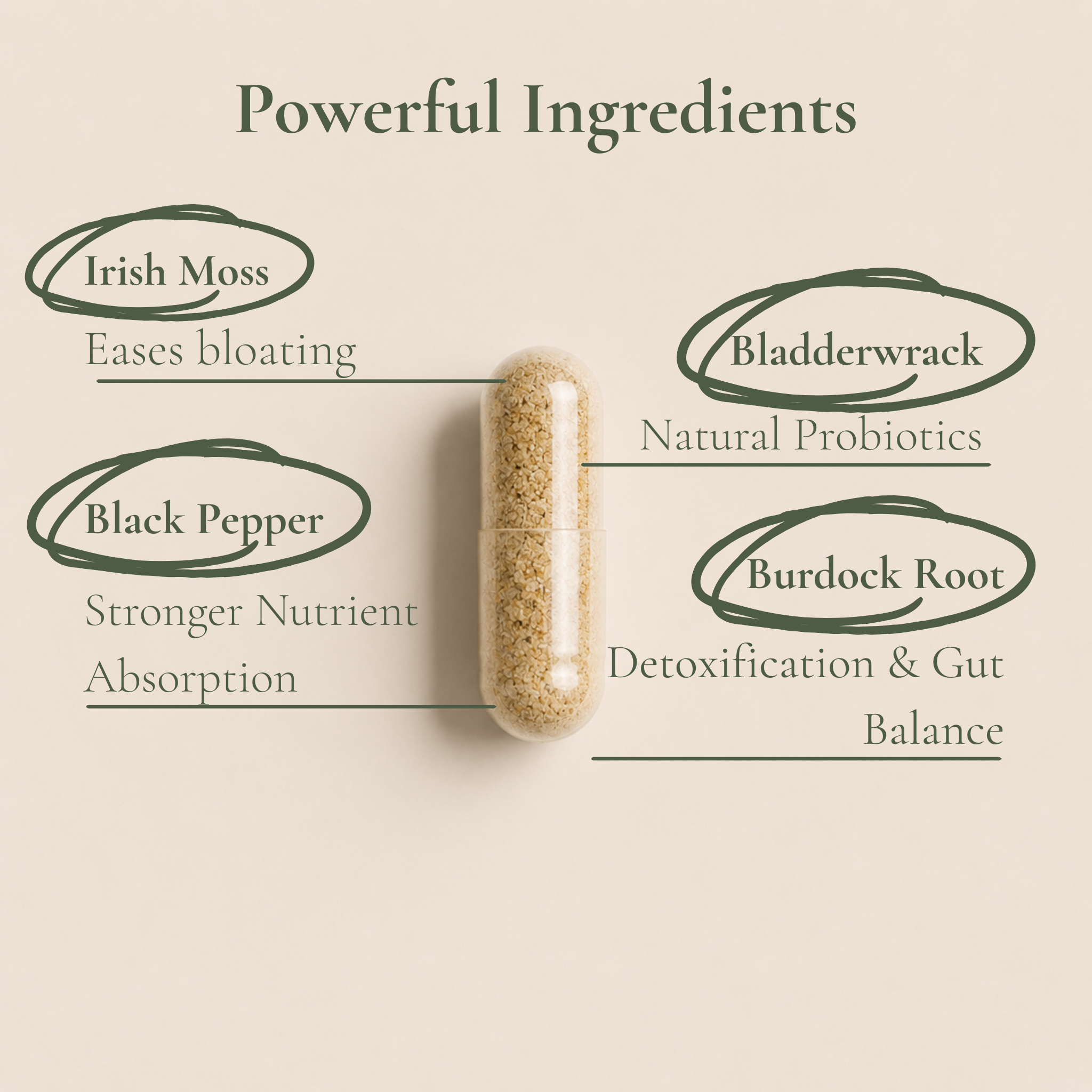 2 Step Gut Reset System - Sea Moss+Digestive Enzymes