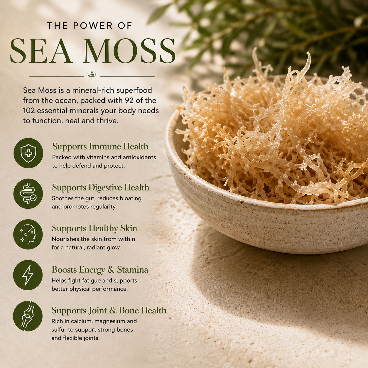 Sea Moss