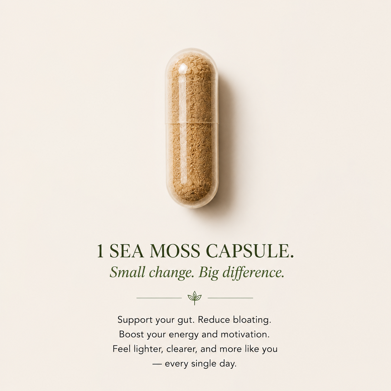 2 Step Gut Reset System - Sea Moss+Digestive Enzymes