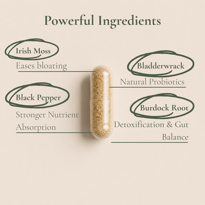 2 Step Gut Reset System - Sea Moss+Digestive Enzymes