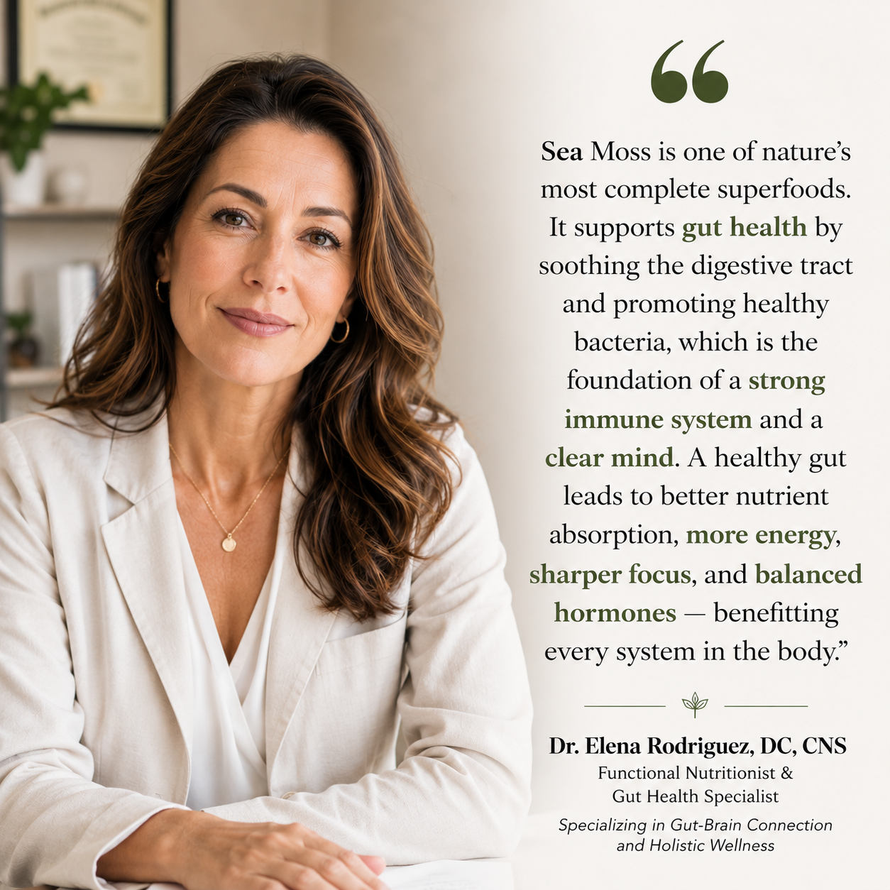 2 Step Gut Reset System - Sea Moss+Digestive Enzymes